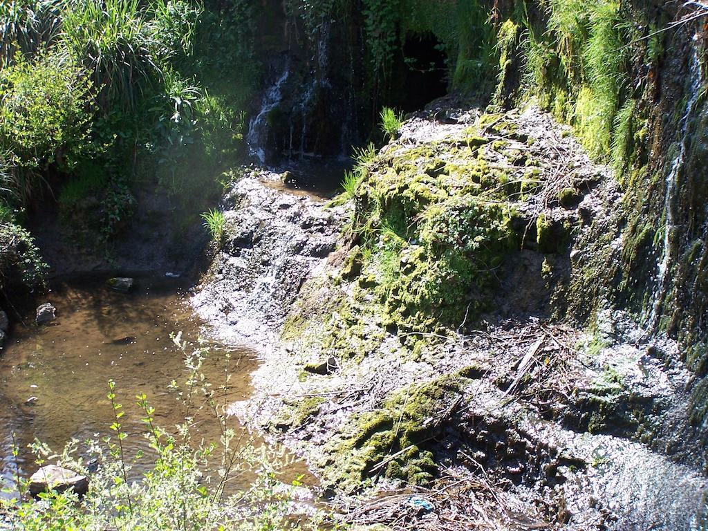 Hostellerie Restaurant Les Gorges De L'Aveyron Bruniquel ภายนอก รูปภาพ