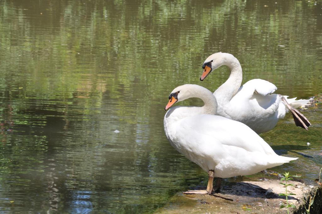 Hostellerie Restaurant Les Gorges De L'Aveyron Bruniquel ภายนอก รูปภาพ